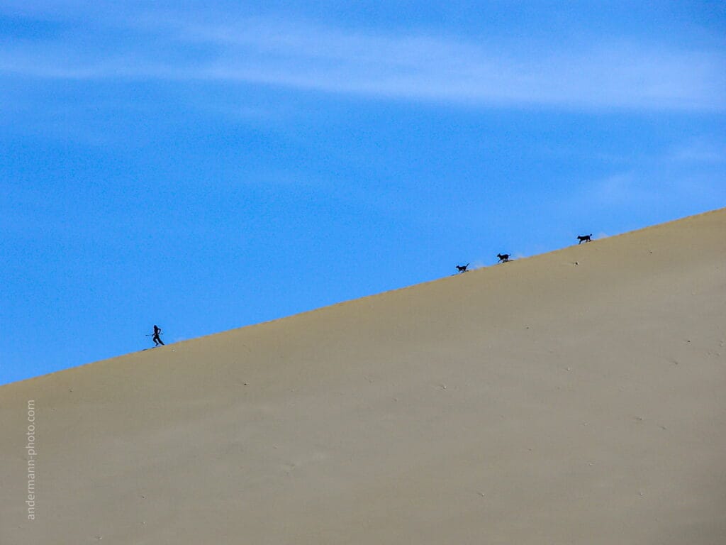 Oasis de Huacachinamás