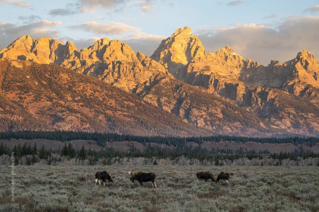 Wyoming, 2024