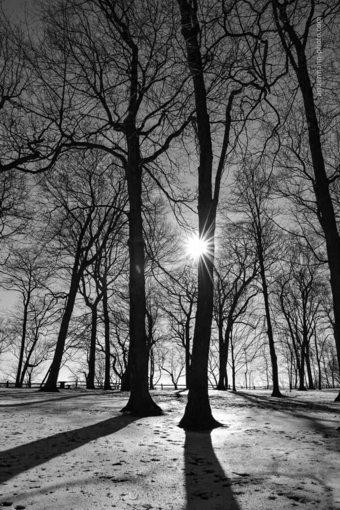 Gigantes en la nieve
