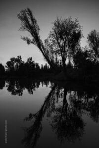 Canales olvidados de Xochimilco